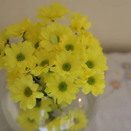 A Casa Di Antonella Apartment *